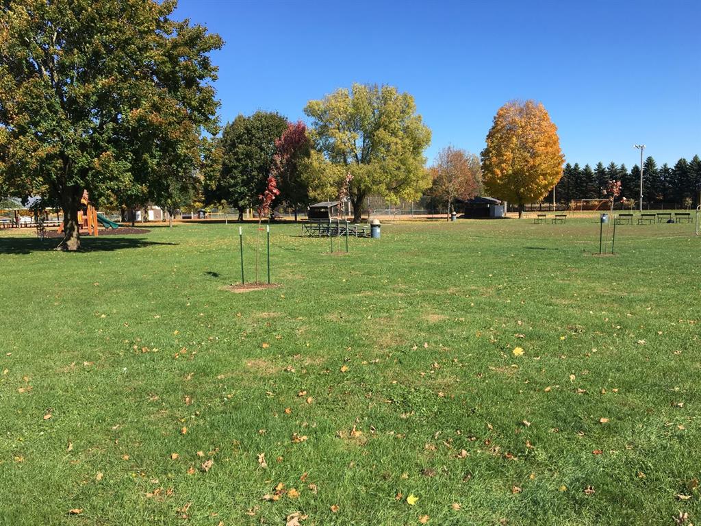 Clintonville Parks & Recreation Department Parks & Greenspaces